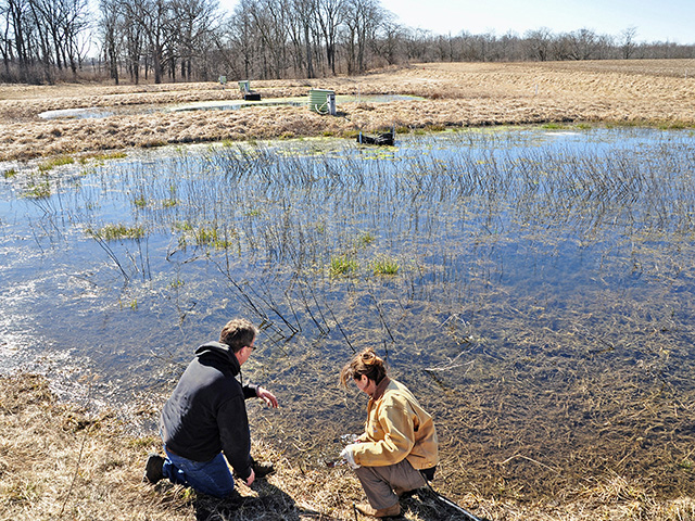 The Nature Conservancy biologist Maria Lemke (right) and tenant Tim Lindenbaum look at one of a series of three constructed wetlands being studied on the Franklin Demonstration Farm, in McLean County, Ill. (Progressive Farmer photo by Lynn Betts)